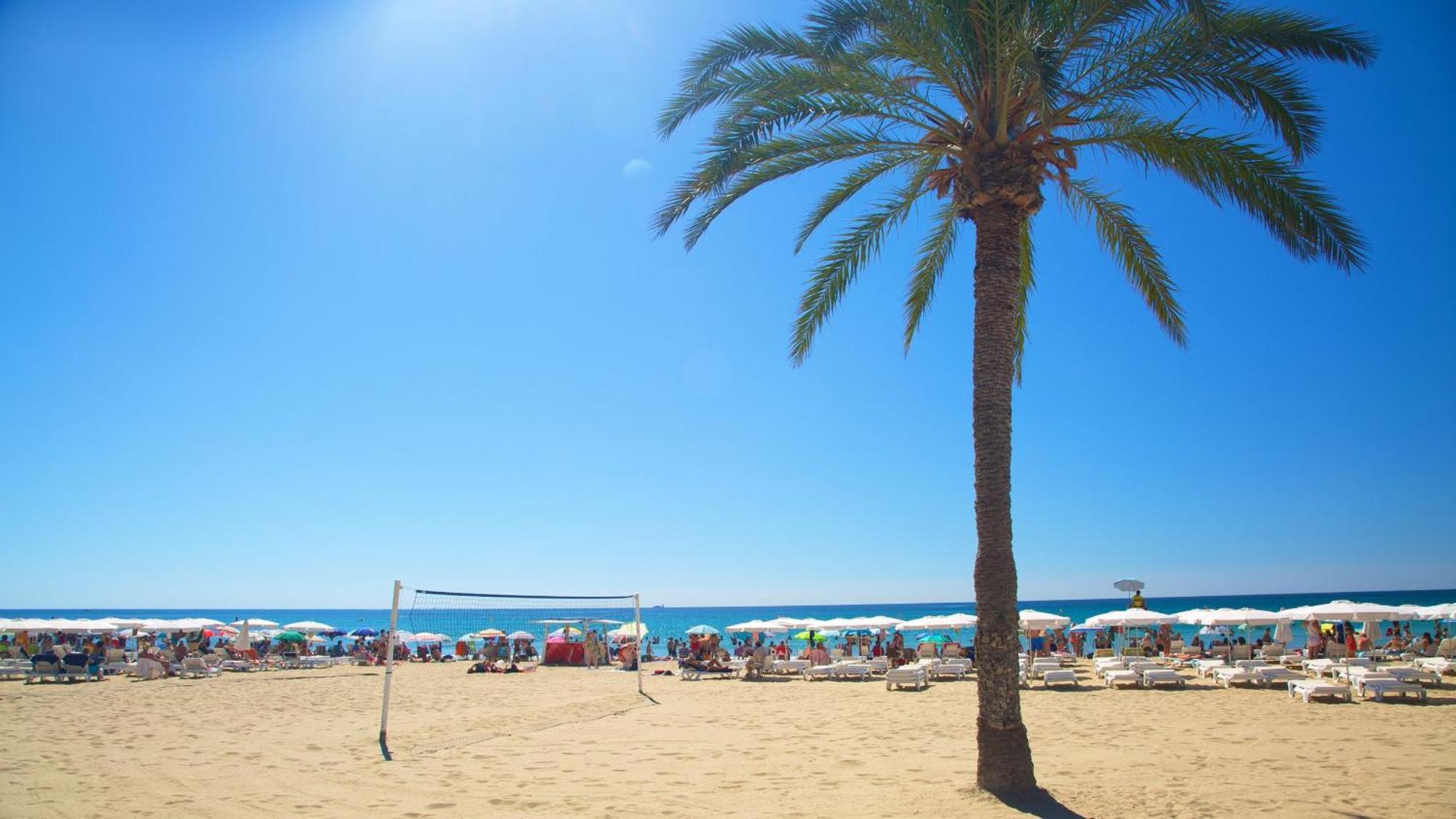 Hb Apartments - Mercado Central - Rambla Alicante - La Suite De La Playa Экстерьер фото